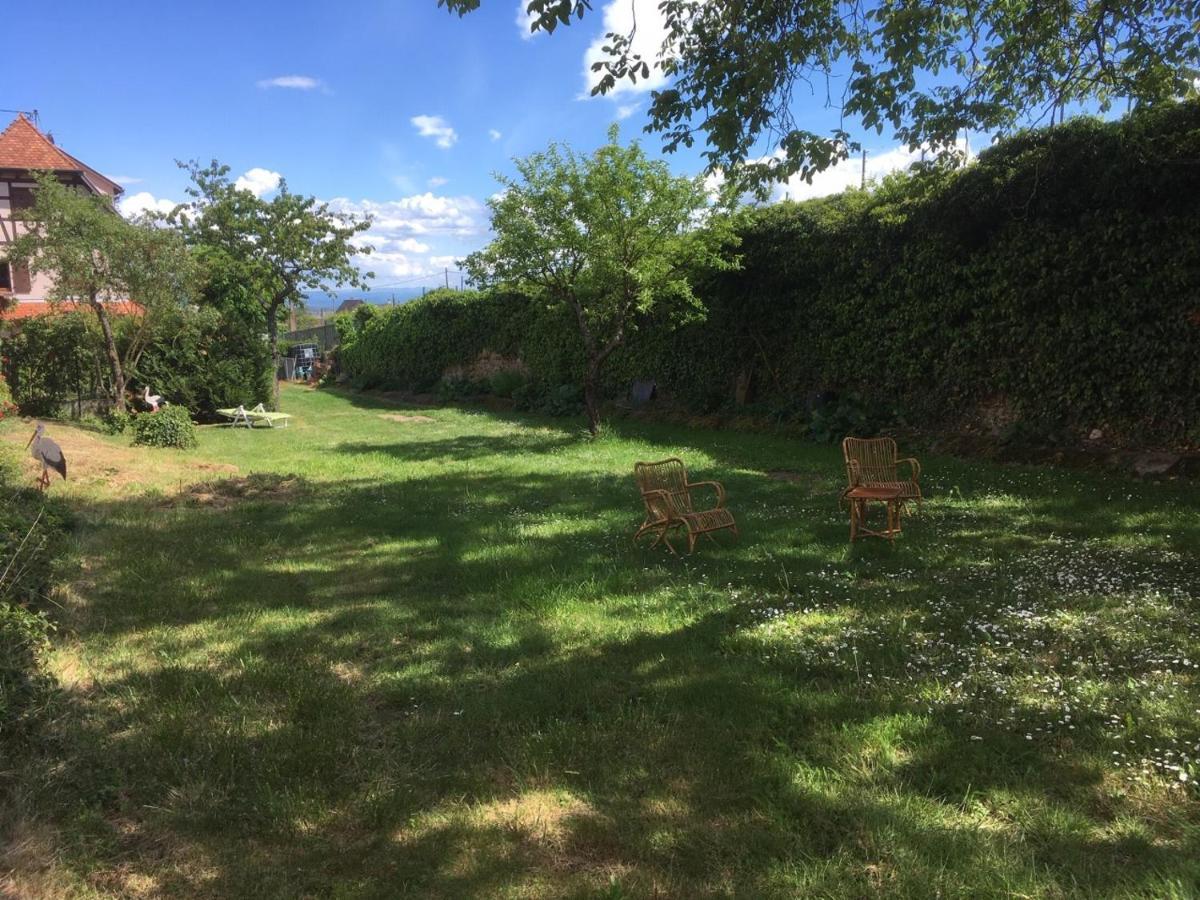Beck Domaine Du Rempart Dambach