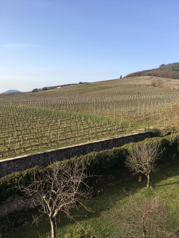 Beck Domaine Du Rempart Ferienhaus